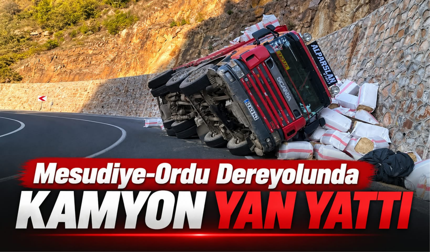 Mesudiye-Ordu Dereyolunda Kamyon Yan Yattı
