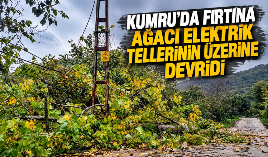 Kumru’da Fırtına Ağacı Elektrik Tellerinin Üzerine Devirdi