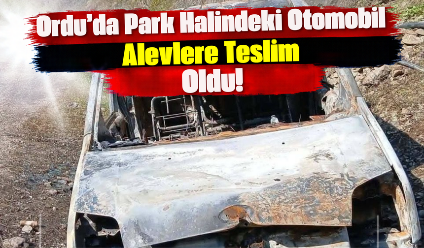 Ordu’da Park Halindeki Otomobil Alevlere Teslim Oldu!