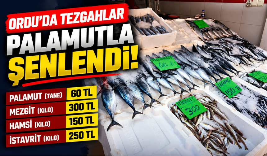 Ordu’da Balık Tezgâhlarında Güncel Fiyatlar: Palamut 60 TL!