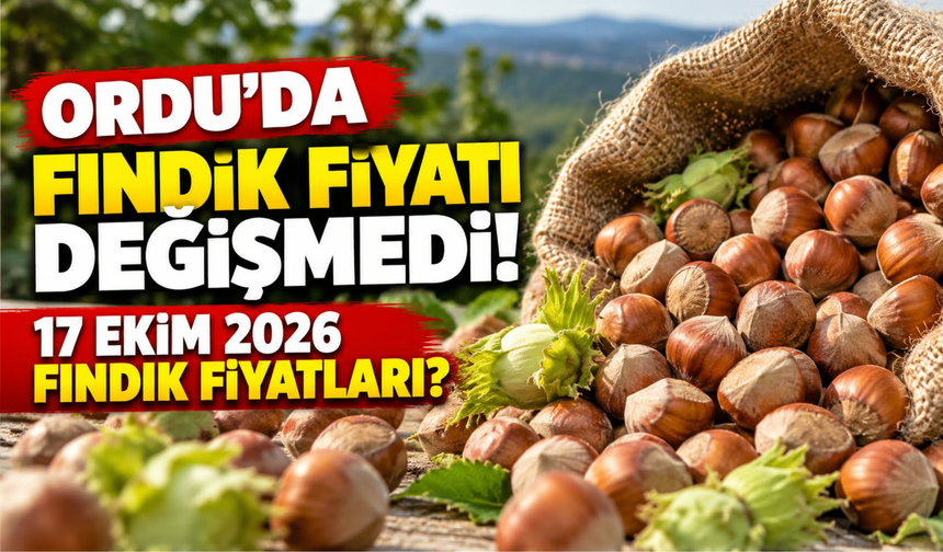 Ordu’da Fındık Fiyatı Değişmedi! 17 Ekim 2026 Fındık Fiyatları?