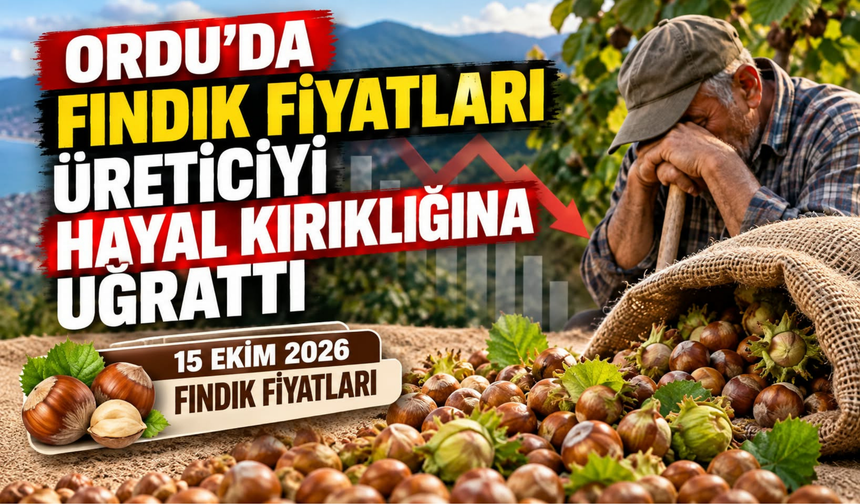 Ordu’da Fındık Fiyatları Üreticiyi Hayal Kırıklığına Uğrattı
