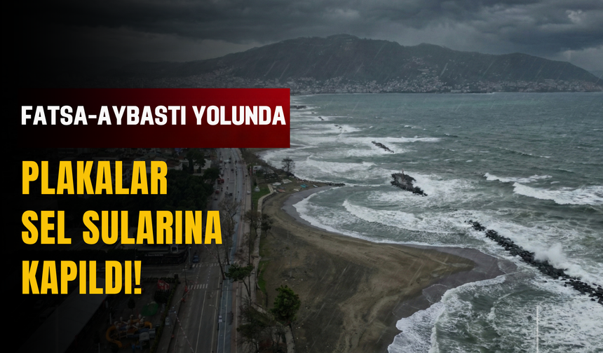 Fatsa-Aybastı Yolunda Plakalar Sel Sularına Kapıldı!