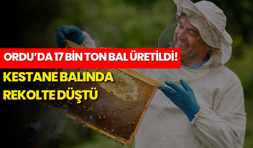 Ordu’da 17 Bin Ton Bal Üretildi! Kestane Balında Rekolte Düştü
