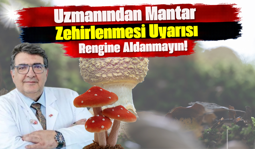 Uzmanından Mantar Zehirlenmesi Uyarısı: Rengine Aldanmayın!