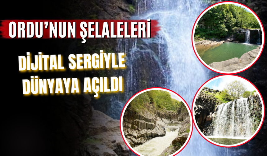 Ordu’nun Şelaleleri Dijital Sergiyle Dünyaya Açıldı