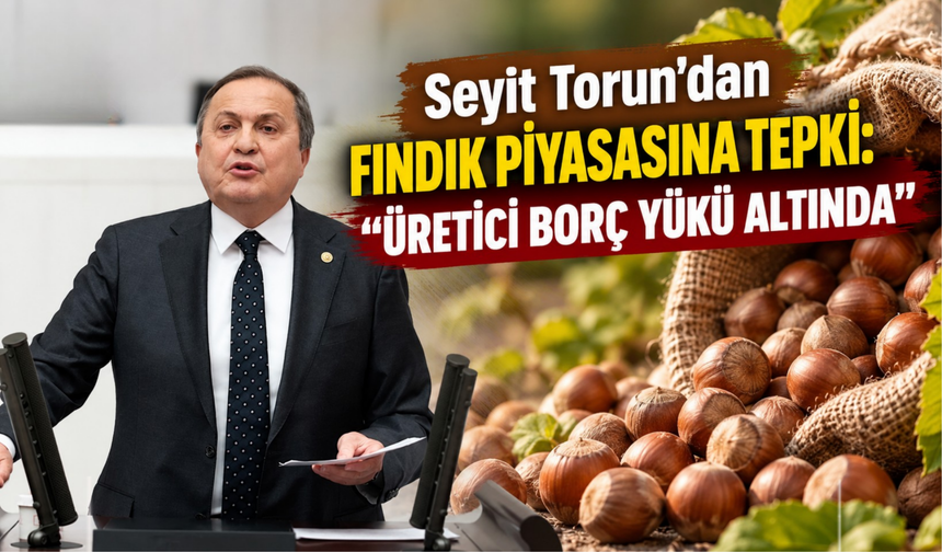Seyit Torun’dan Fındık Piyasasına Tepki: “Üretici Borç Yükü Altında”
