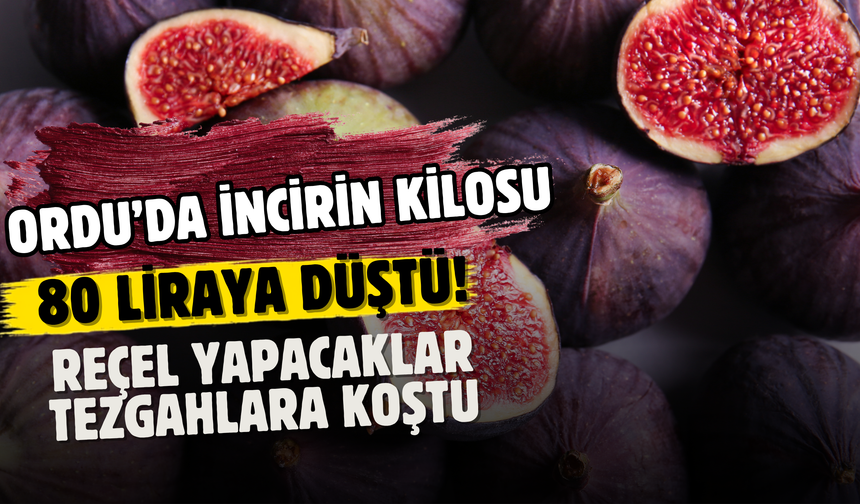 Ordu’da İncirin Kilosu 80 Liraya Düştü! Reçel Yapacaklar Tezgahlara Koştu