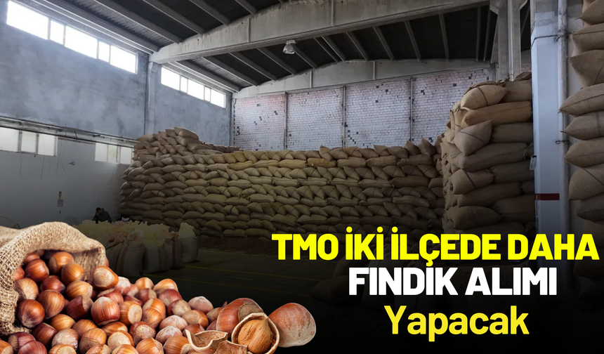 TMO İki İlçede Daha Fındık Alımı Yapacak