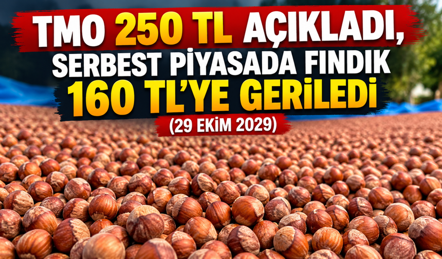 TMO 250 TL Açıkladı, Serbest Piyasada Fındık 160 TL’ye Geriledi (29 Ekim 2029)