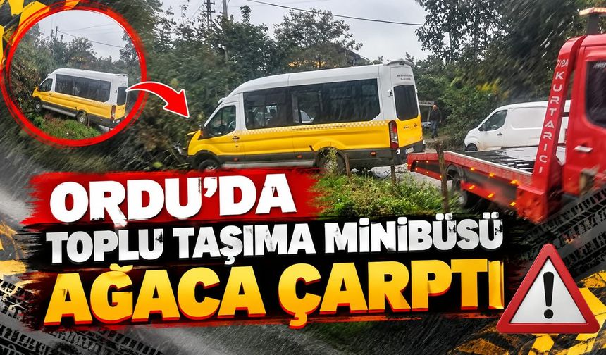Ordu’da Toplu Taşıma Minibüsü Ağaca Çarptı