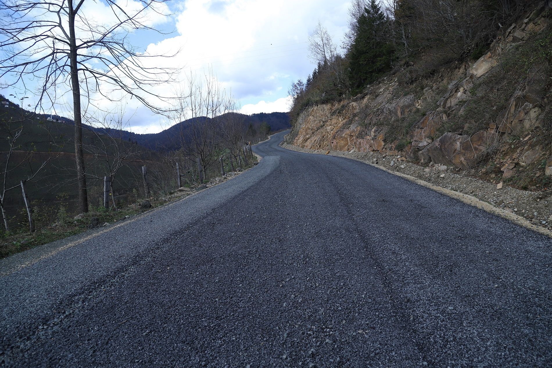 ordu mesudiye yol