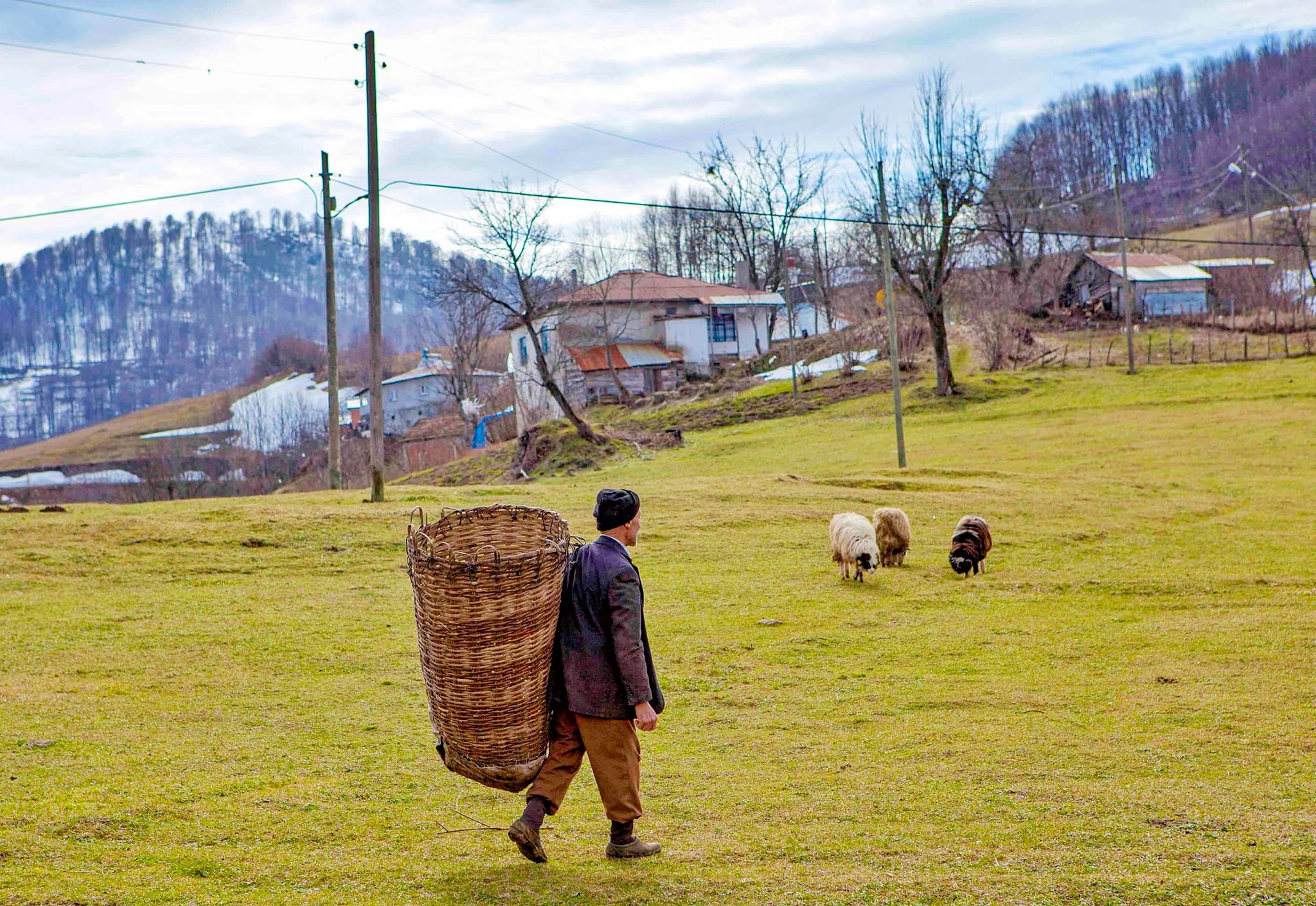 akkuş ordu doğa