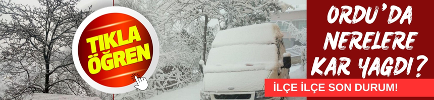 Ordu bugün hava durumu 17 Aralık