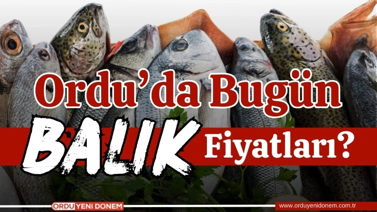 Balıkçılık Ürünleri Çeşitleri & Fiyatları 'da! - 42