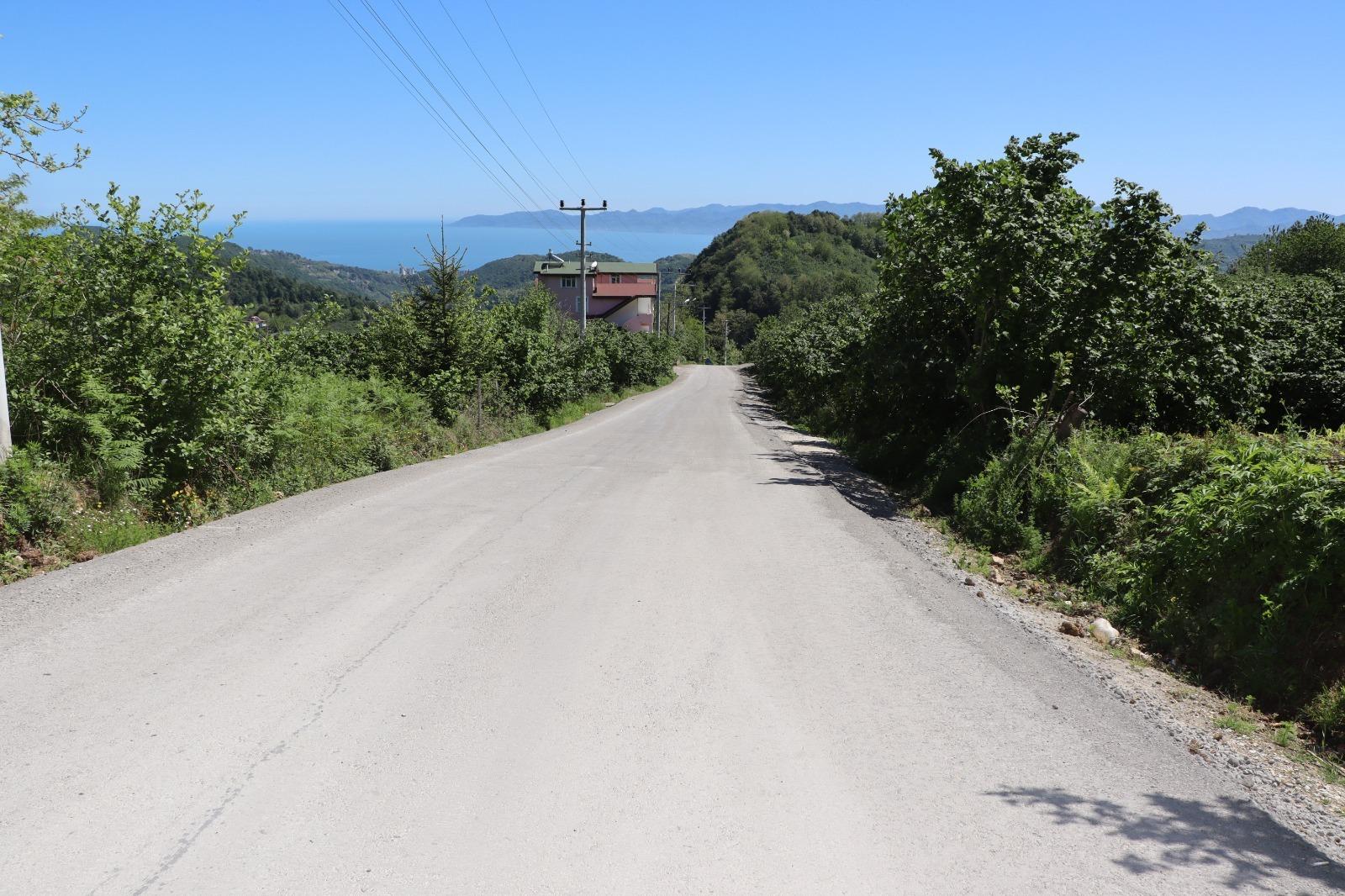 Ordu’da Si̇li̇ndi̇rle Sikiştirilmiş Beton Yol Uygulamasi Yayginlaşiyor (4)