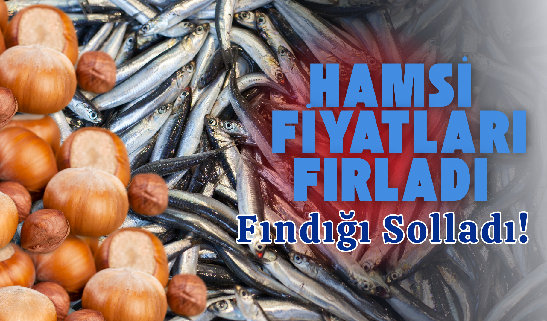 Hamsi Fiyatları Fırladı, Fındığı Solladı! (1)