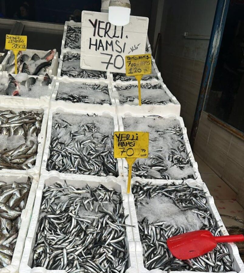 479873177 18126890521410318 2948097675333575266 N