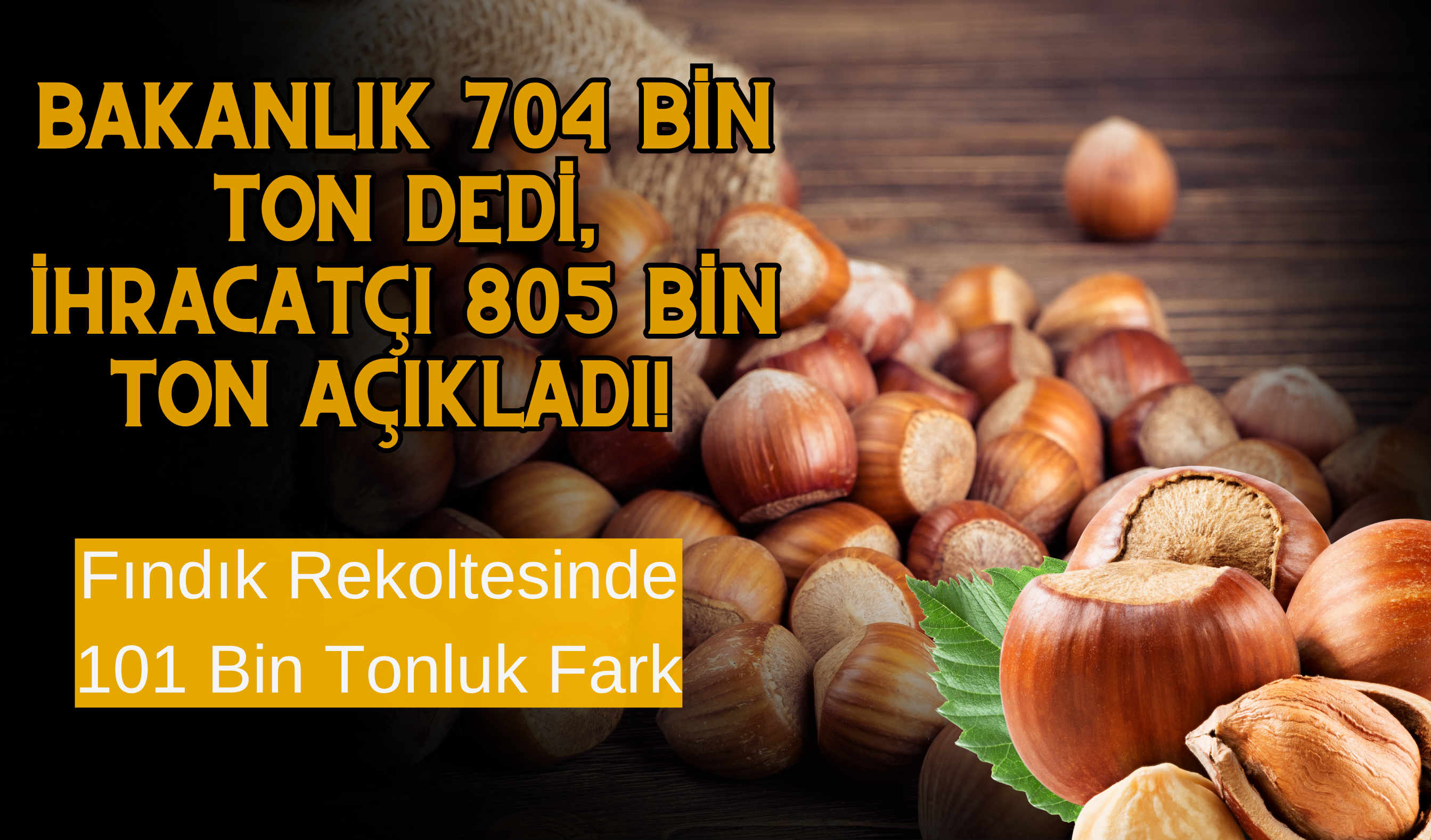 Bakanlık 704 Bin Ton Dedi, İhracatçı 805 Bin Ton Açıkladı! Fındık Rekoltesinde 101 Bin Tonluk Fark