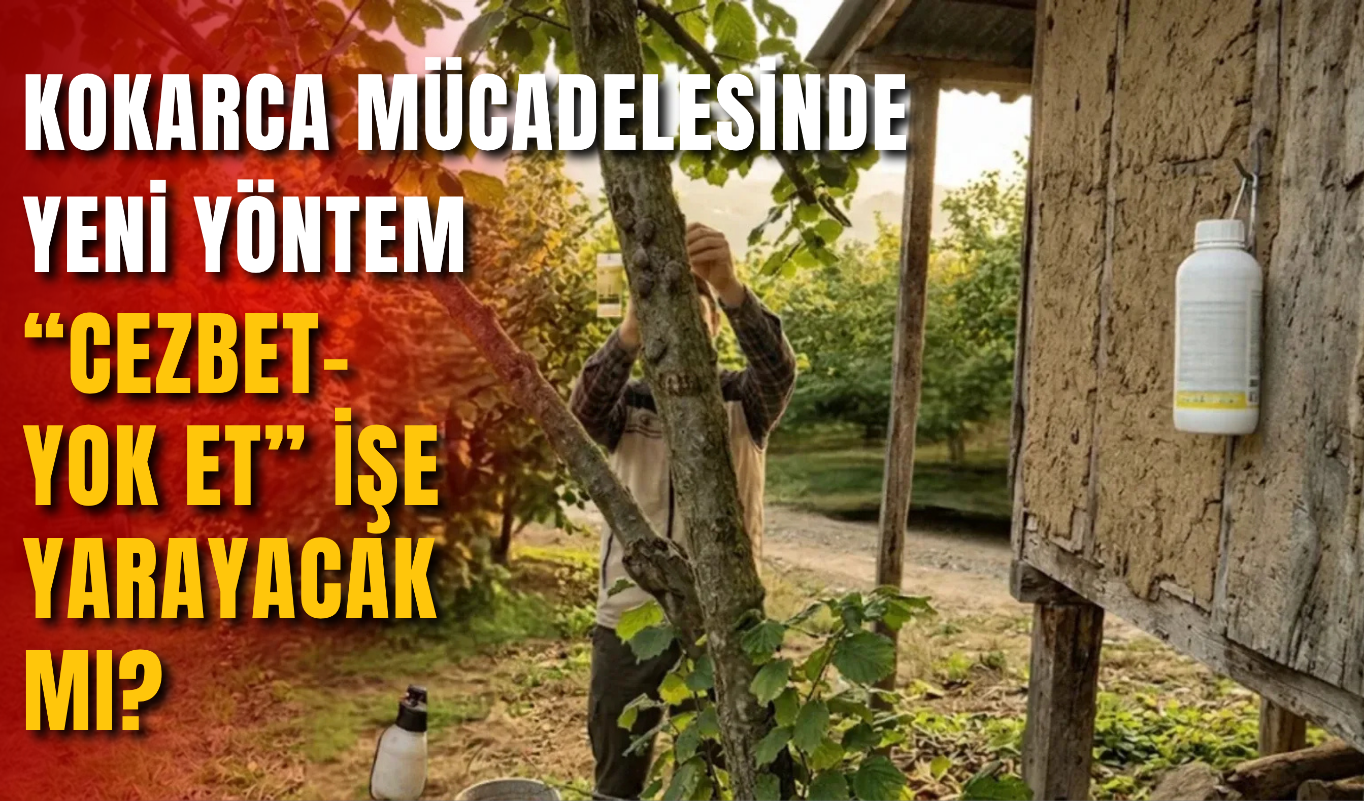 Kokarca Mücadelesinde Yeni Yöntem: “Cezbet-Yok Et” İşe Yarayacak mı?